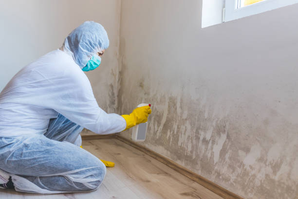 Crawl Space Mold Remediation treatment of floor joists in Alanson